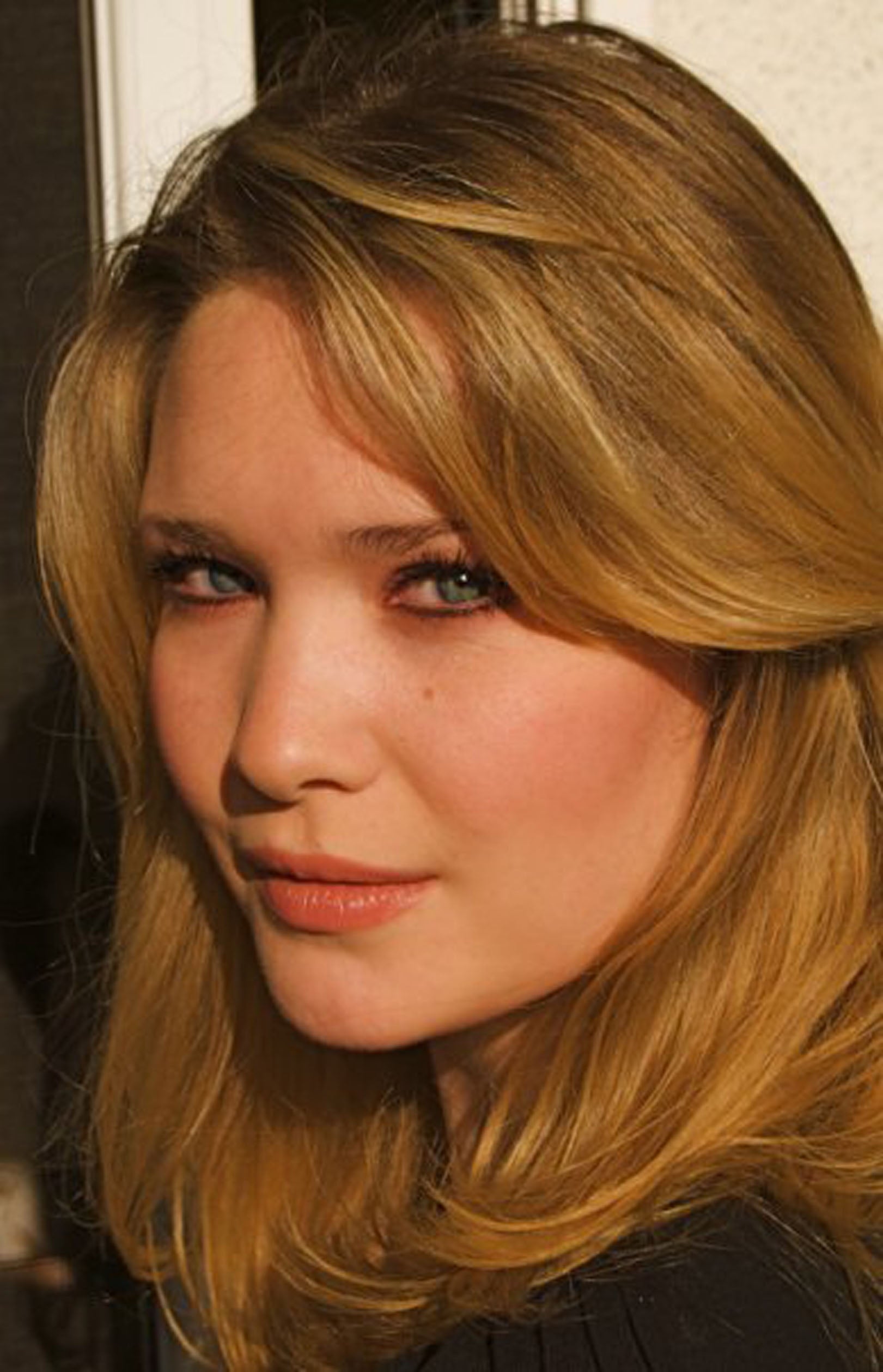 knygų kolekcija: Sarah J. Maas