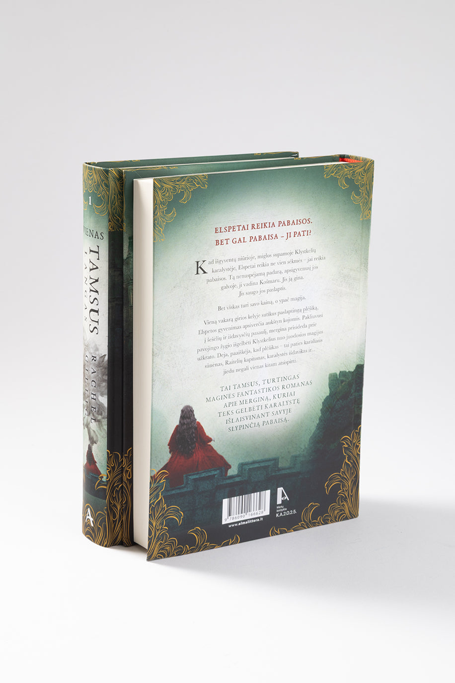 Vienas tamsus langas. Pirma knyga