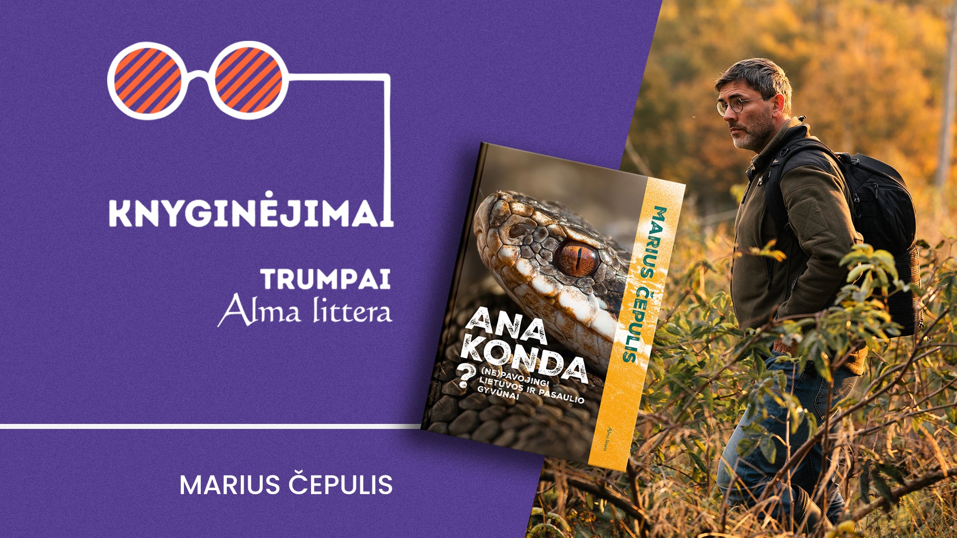 Knyginėjimai. Trumpai | Marius Čepulis | Alma littera