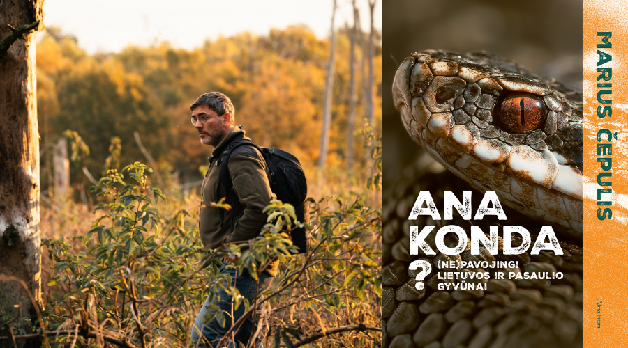 Gamtininkas Marius Čepulis: „Gyvūnai puola tik tuos, kurie įžengia į jų teritoriją“