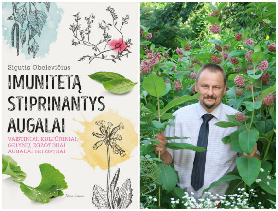 Gamtininkas Sigutis Obelevičius apie tobulą imuniteto stiprinimo trejetuką: ežiuolės, česnakai ir juodieji serbentai