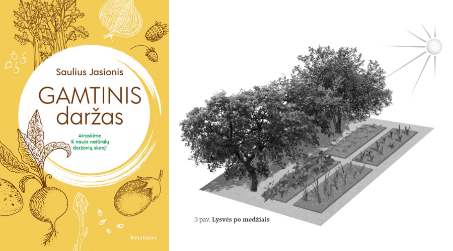 Iliustr. Aldonos Griškevičienės