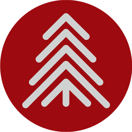 knygų kolekcija: Kalėdinis paauglių literatūros pasiūlymas