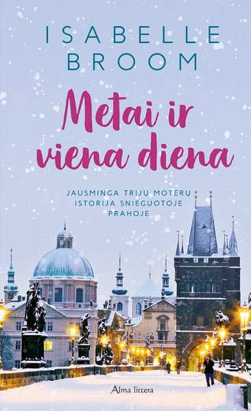 Metai ir viena diena