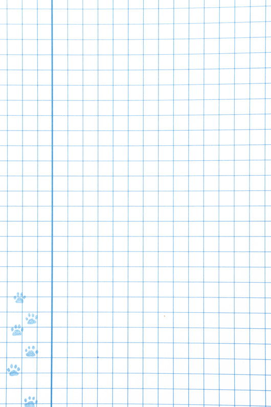 Holly Webb sąsiuvinis TRYS ŠUNIUKAI, 24 l., langeliais knyga iš Alma Littera