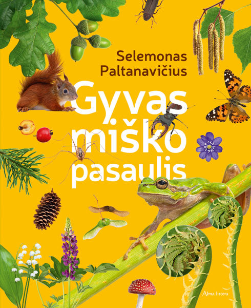 Gyvas miško pasaulis