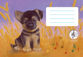 Natų sąsiuvinis Holly Webb, A5, 12 l. knyga iš Alma Littera