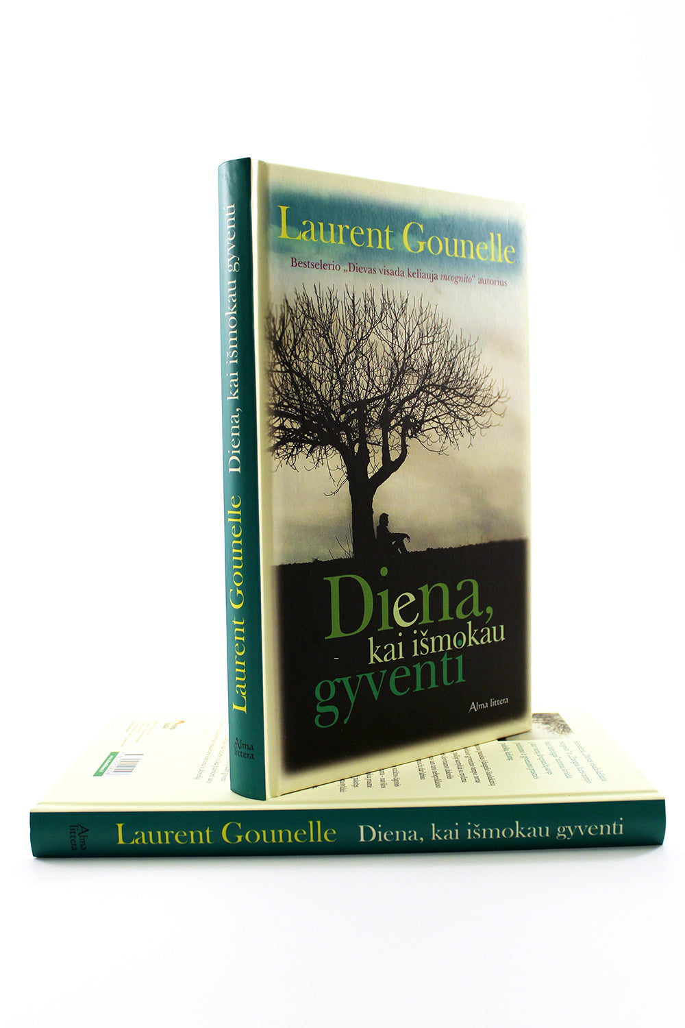 Diena, kai išmokau gyventi