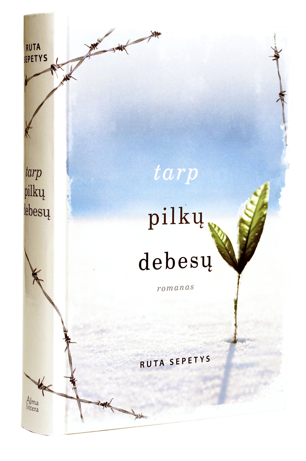 Tarp pilkų debesų