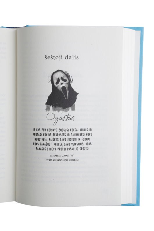 Stebuklas knyga iš Alma Littera