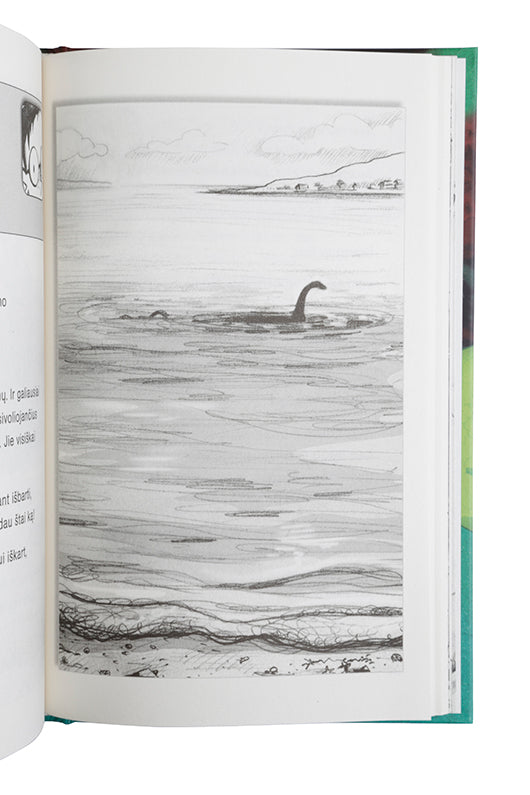 Drakonų prižiūrėtojas atostogauja knyga iš Alma Littera