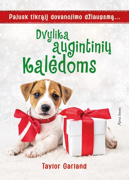 Dvylika augintinių Kalėdoms