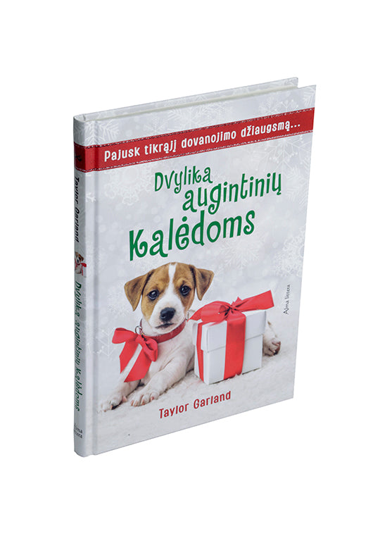 Dvylika augintinių Kalėdoms