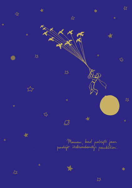 Užrašinė MAŽASIS PRINCAS knyga iš Alma Littera