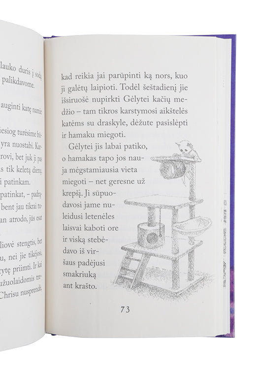 Nuostabi katytė
