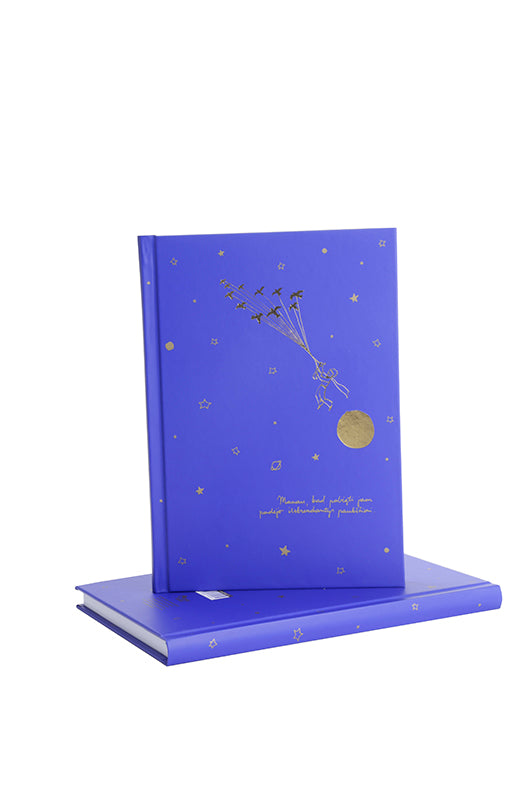 Užrašinė MAŽASIS PRINCAS knyga iš Alma Littera