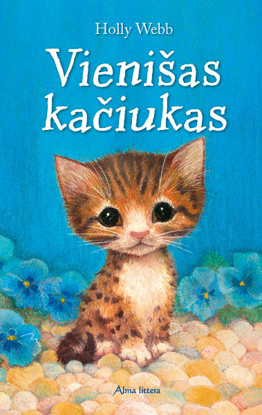 Vienišas kačiukas