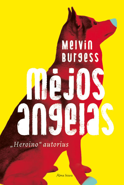 Mėjos angelas. E.knyga