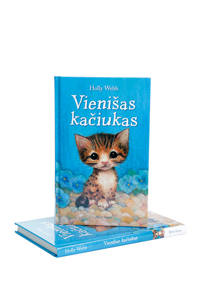 Vienišas kačiukas