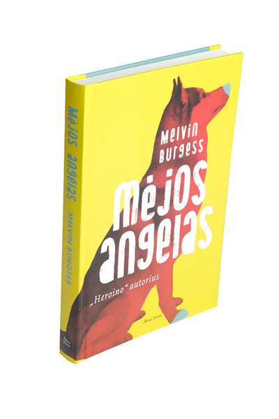 Mėjos angelas. E.knyga