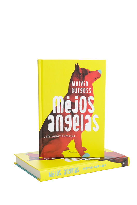 Mėjos angelas. E.knyga