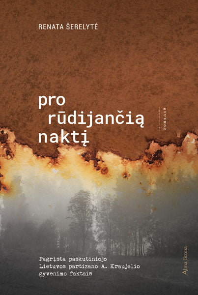 Pro rūdijančią naktį. E. knyga