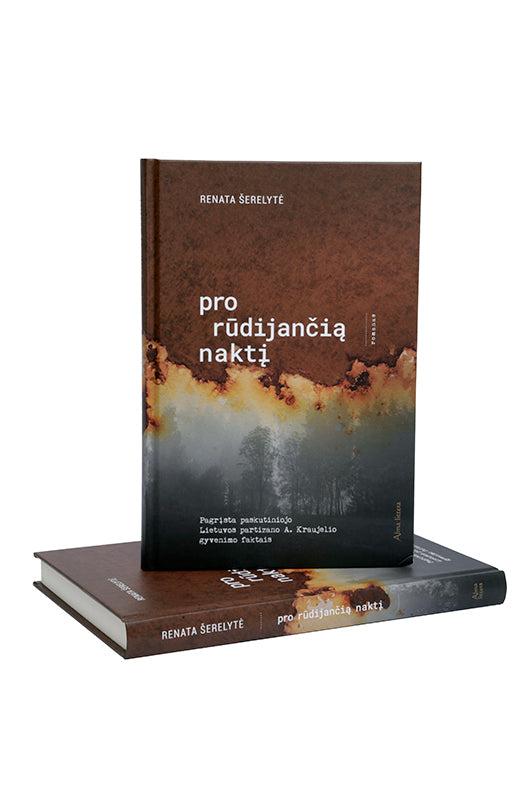 Pro rūdijančią naktį. E. knyga