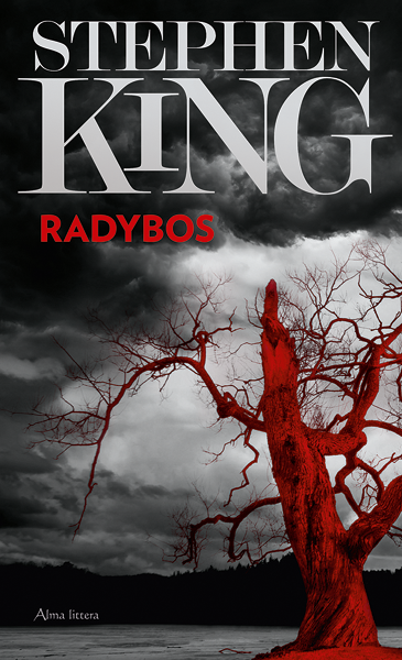 Radybos. E. knyga