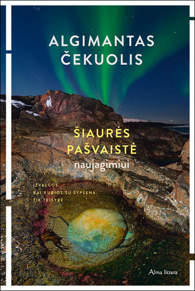 Šiaurės pašvaistė naujagimiui. E.knyga knyga iš Alma Littera
