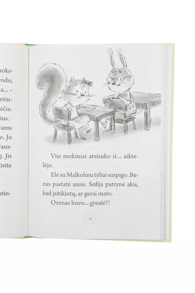 Pelytės Sofijos nuotykiai. Naujas draugas knyga iš Alma Littera