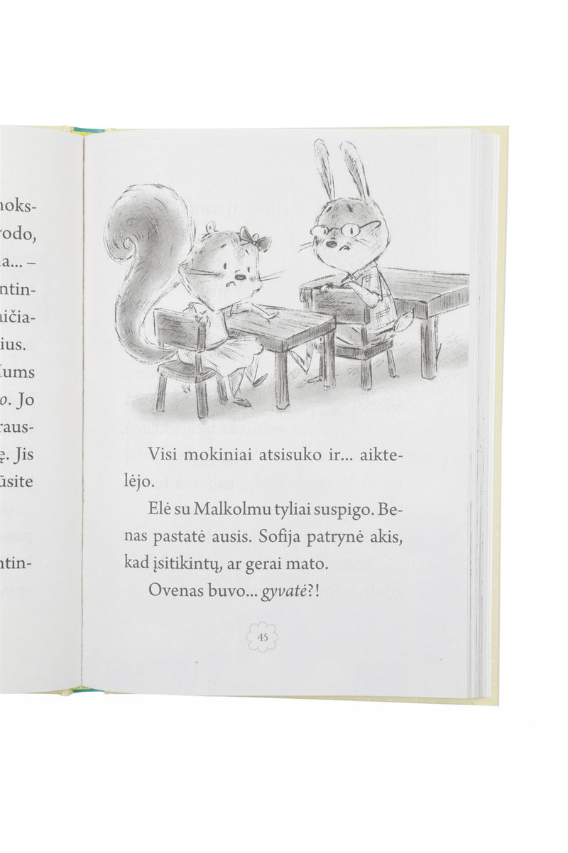 Pelytės Sofijos nuotykiai. Naujas draugas knyga iš Alma Littera