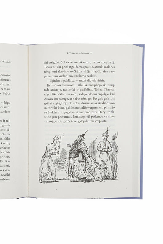 Žirgas ir jo berniukas. Ciklo "Narnijos kronikos" 3-ioji knyga