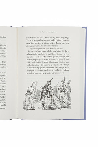 Žirgas ir jo berniukas. Ciklo "Narnijos kronikos" 3-ioji knyga