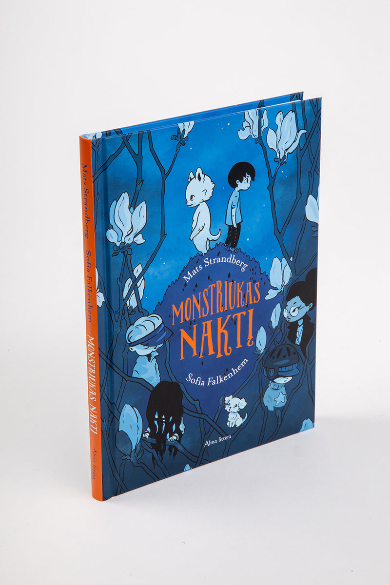 Monstriukas naktį