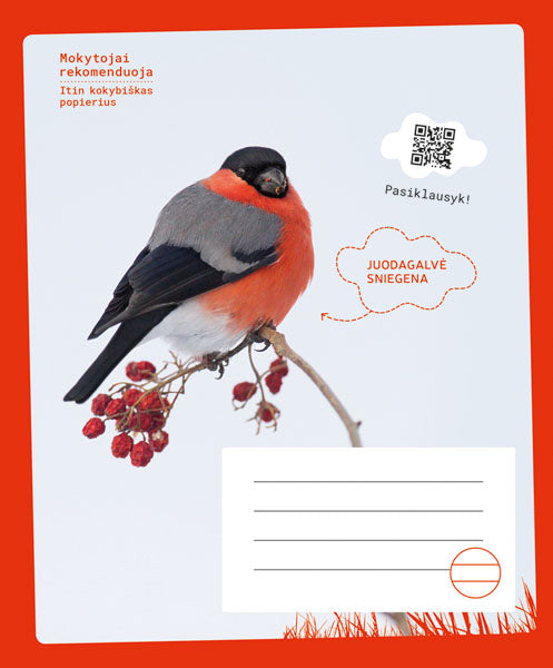 Sąsiuvinis SNIEGENA, 12 l., linijomis