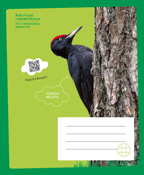 Sąsiuvinis MELETA, 12 l., langeliais