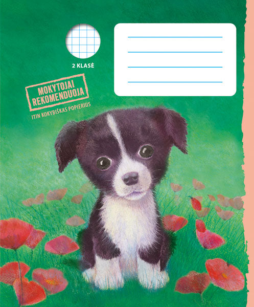 Holly Webb sąsiuvinis DŽESĖ, nuo 2 kl., 12 l., langeliais (2022)