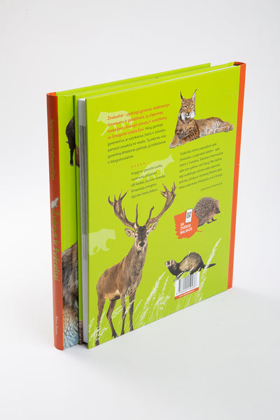 Žvėrys ir žvėreliai