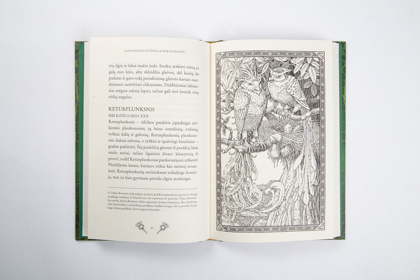 Fantastiniai gyvūnai ir kur juos rasti. Hogvartso bibliotekos knyga