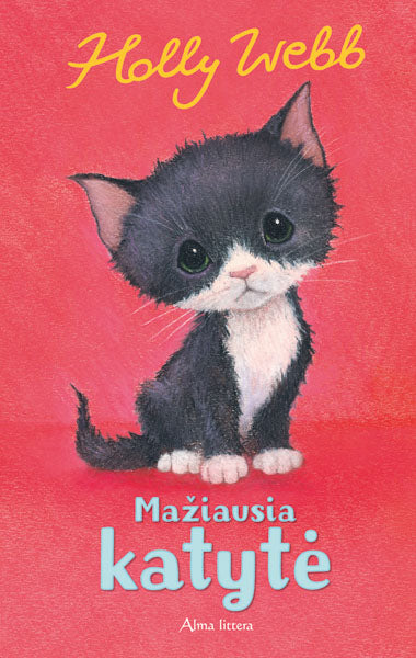 Mažiausia katytė