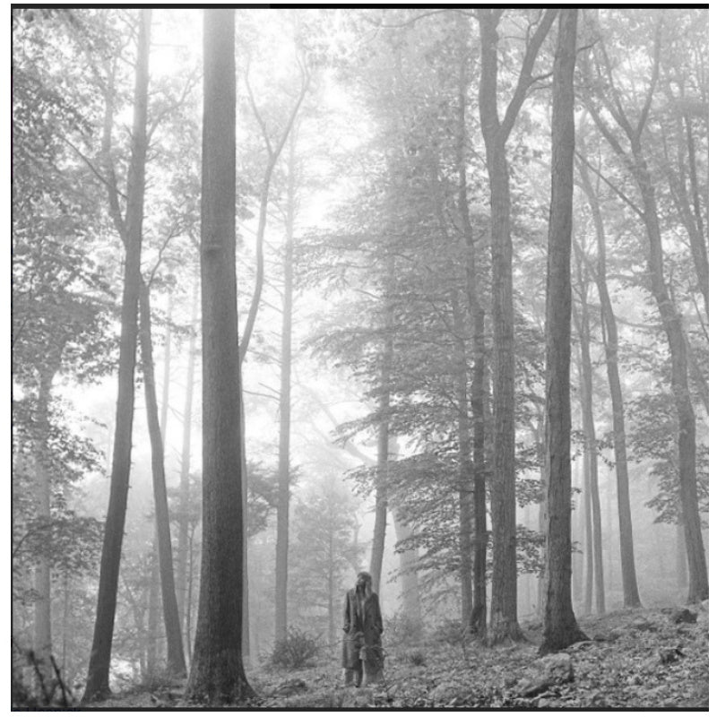 Taylor Swift: Folklore 2LP 2020