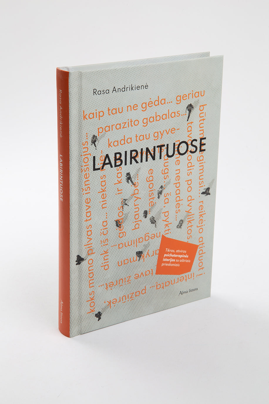 Labirintuose