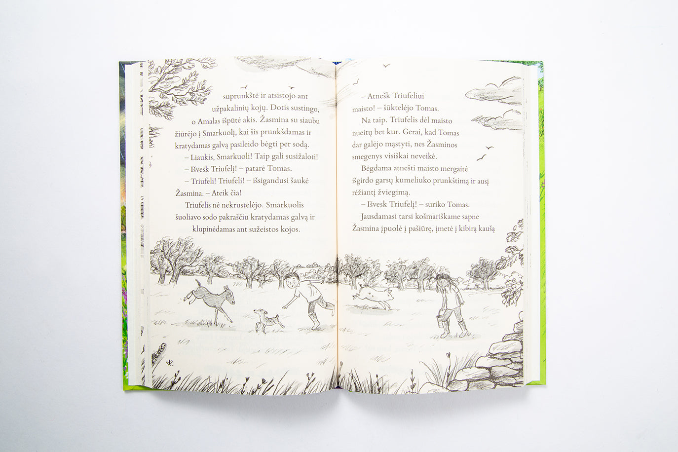 Kumeliukas vardu Smarkuolis