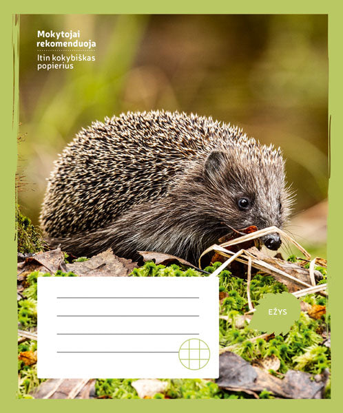 Sąsiuvinis EŽYS 24 l., langeliais