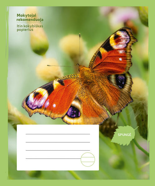 Sąsiuvinis DRUGELIS, 24 l., linijomis