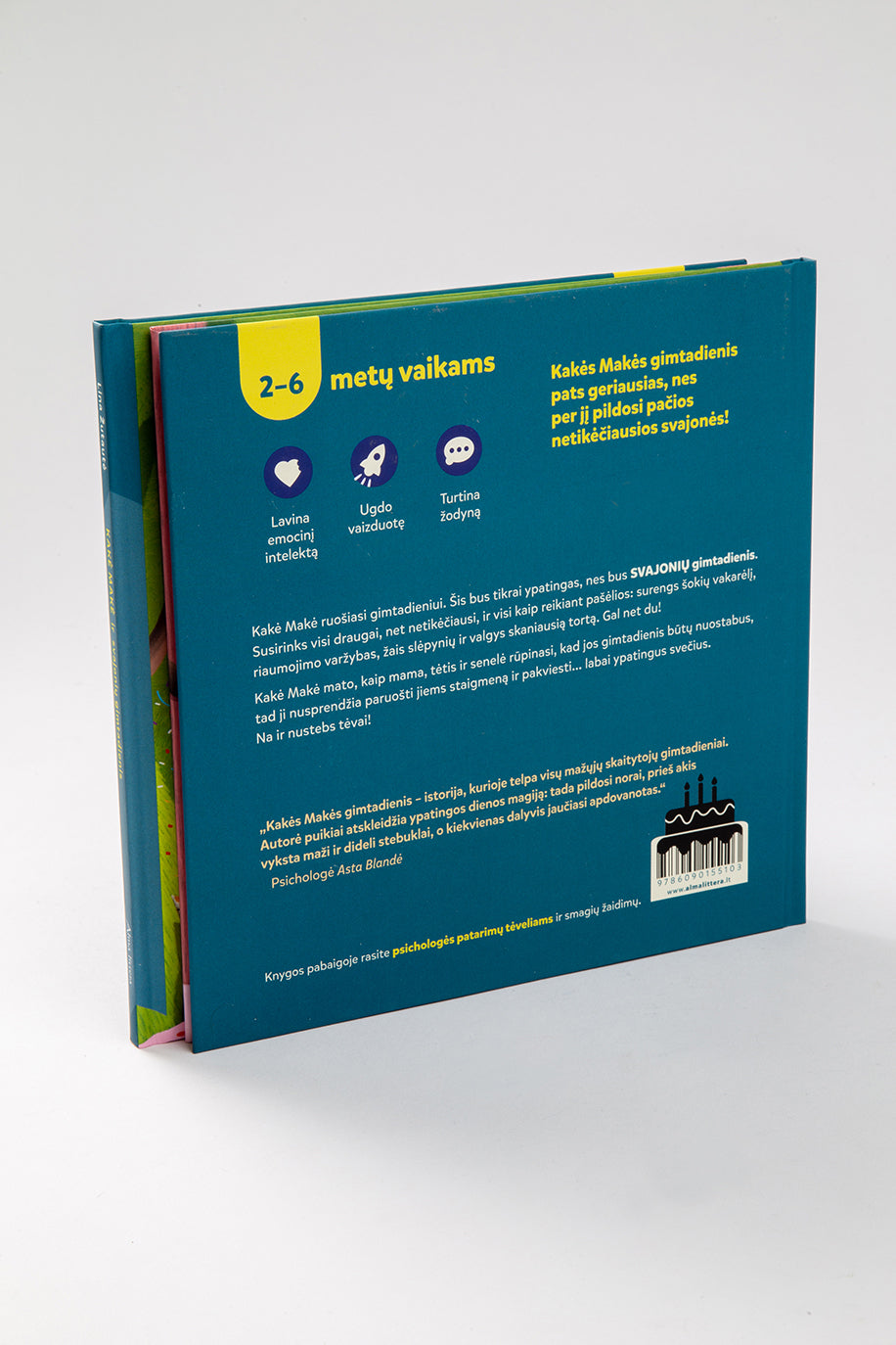 Kakė Makė ir svajonių gimtadienis