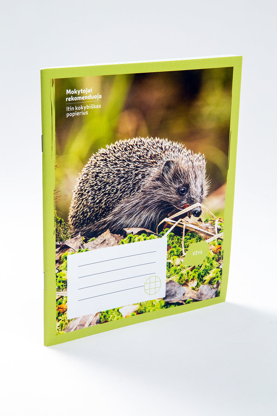 Sąsiuvinis EŽYS 24 l., langeliais