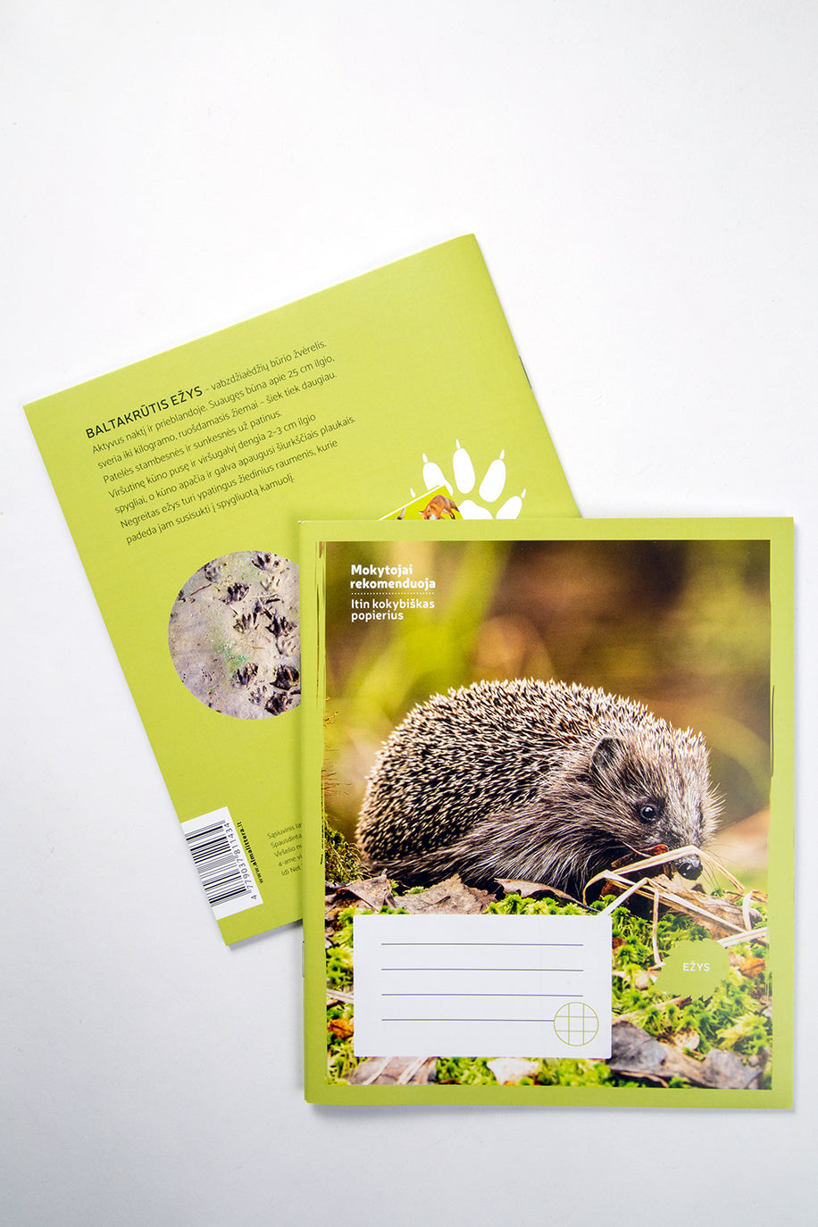 Sąsiuvinis EŽYS 24 l., langeliais