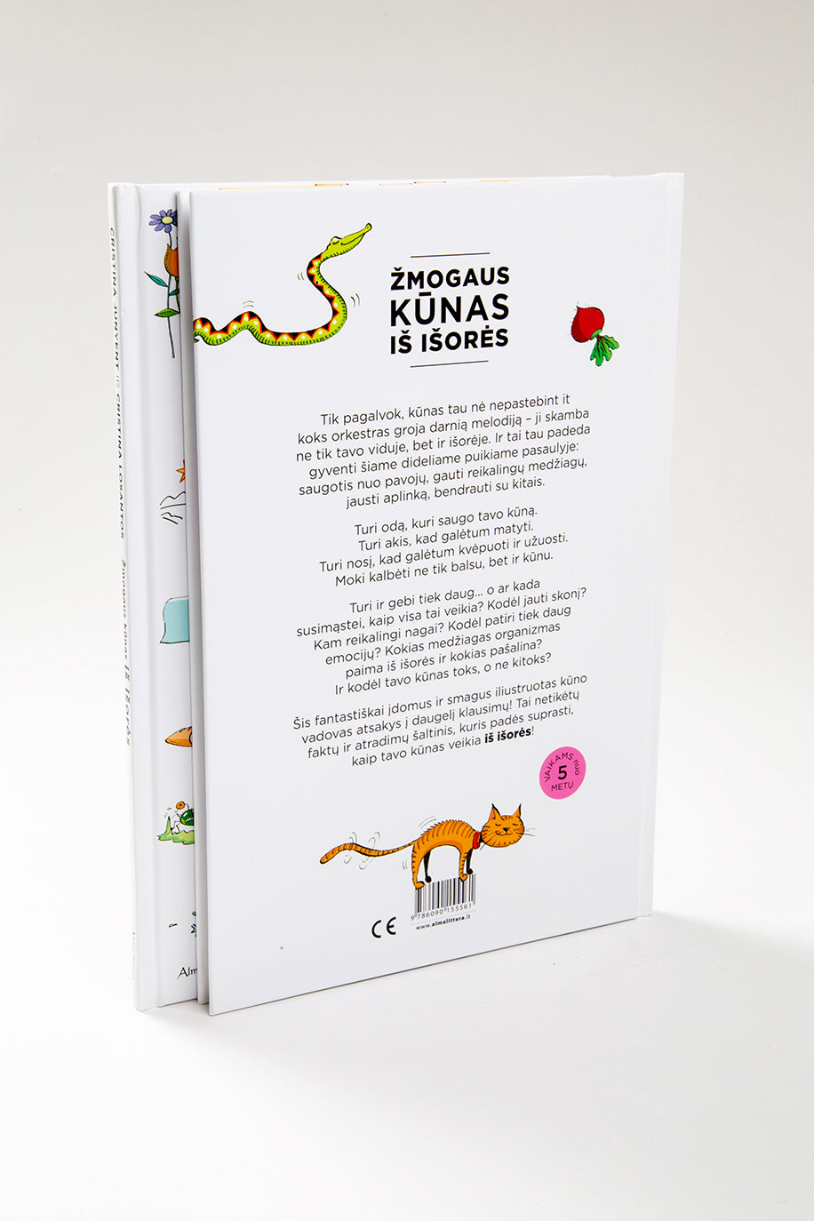 Žmogaus kūnas iš išorės