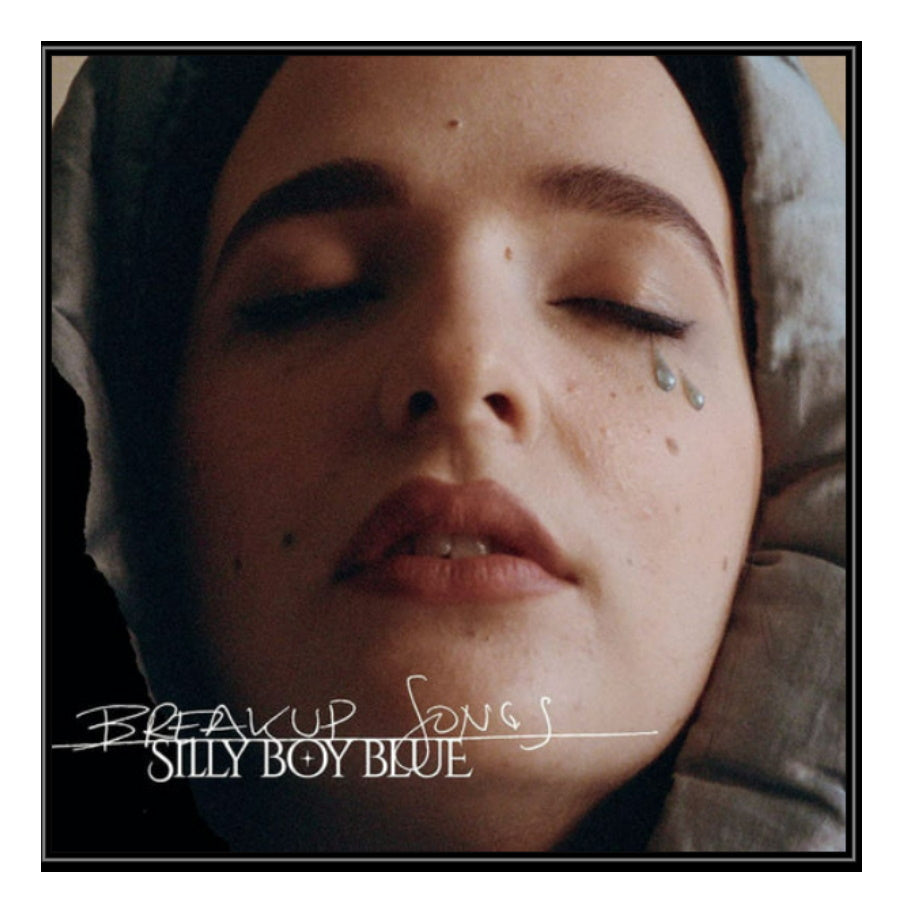 Silly Boy Blue: Breakup Songs LP